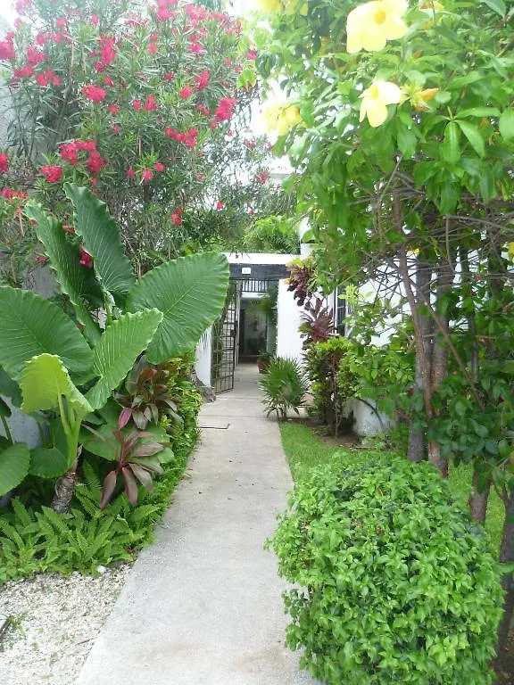 Hostal Haina Cancún Hostel
